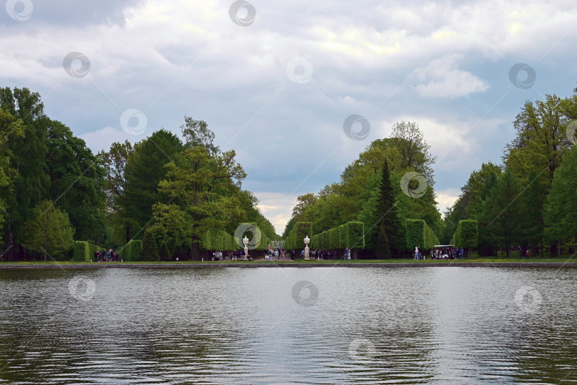 Скачать Петергоф, Санкт-Петербург, Россия, 06.06.2022 год. Вид на Марлинский пруд и Марлинскую аллею в Нижнем парке Петергофа. фотосток Ozero