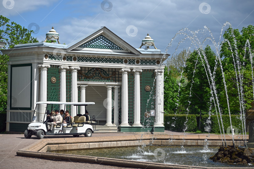 Скачать Петергоф, Санкт-Петербург, Россия, 06.06.2022 год. Экскурсионный электрокар стоит у Трельяжной беседки в Нижнем парке Петергофа. фотосток Ozero