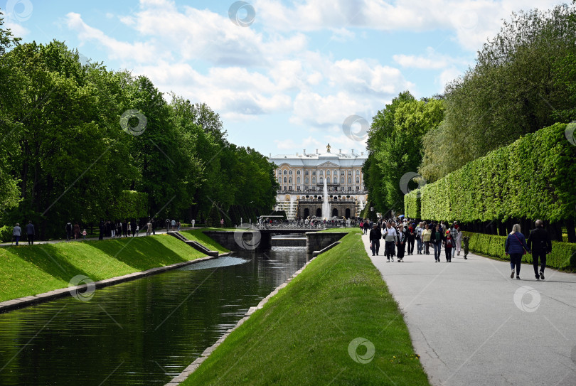 Скачать Петергоф, Санкт-Петербург, Россия, 06.06.2022 год. Вид на Морской канал с аллей фонтанов и Большой дворец в нижнем парке Петергофа фотосток Ozero