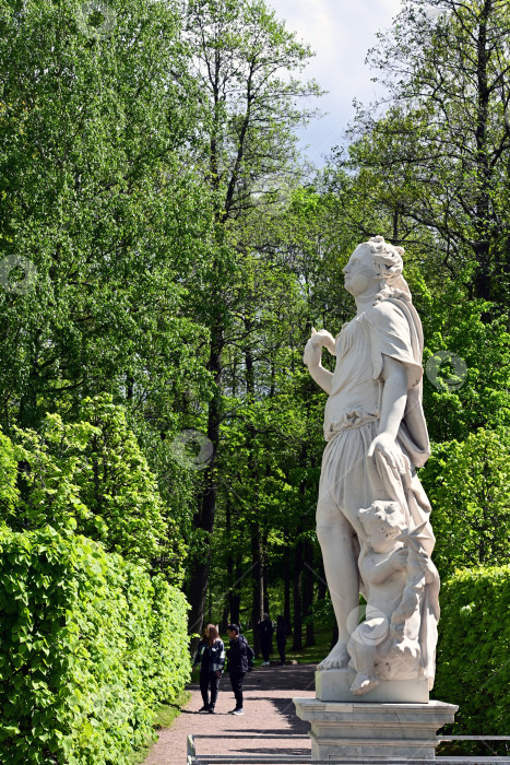 Скачать Петергоф, Санкт-Петербург, Россия, 06.06.2022 год. Аллея в парке, скульптура из мрамора на фоне зеленых деревьев фотосток Ozero