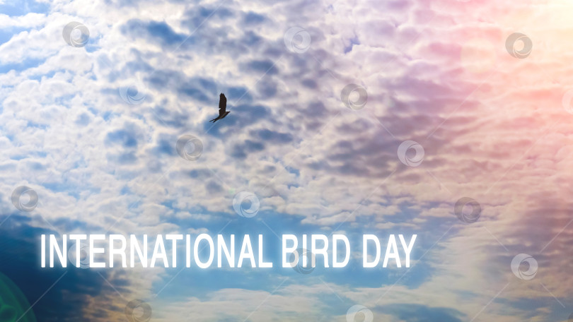 Скачать Национальный день птиц хорош для празднования национального дня птиц. 1 апреля фотосток Ozero