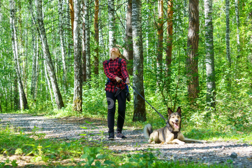Скачать Девушка гуляет с собакой теплым днем, приятная прогулка по лесу. Друзья - собака и девушка фотосток Ozero