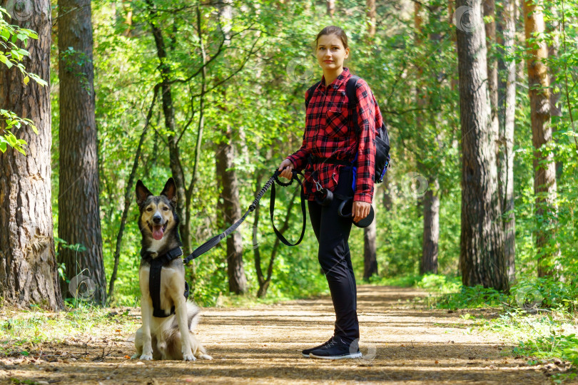 Скачать Девушка гуляет с собакой теплым днем, приятная прогулка по лесу. фотосток Ozero