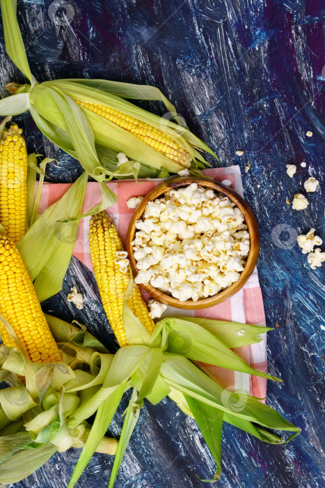 Скачать Свежая кукуруза и попкорн в початках на черном фоне. Вертикальная фотография фотосток Ozero