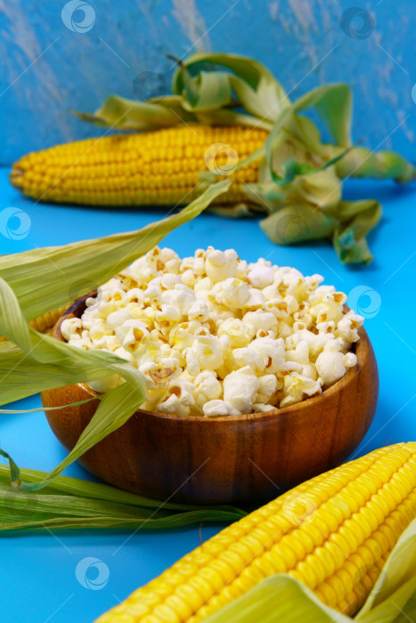 Скачать Попкорн из сырой органической желтой кукурузы в початках, готовый к употреблению. На синем фоне. Вертикальная фотография фотосток Ozero
