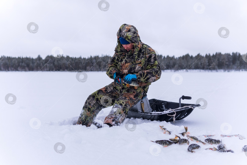 Скачать зимний рыбак на озере ловит окуня на зимней рыбалке. фотосток Ozero