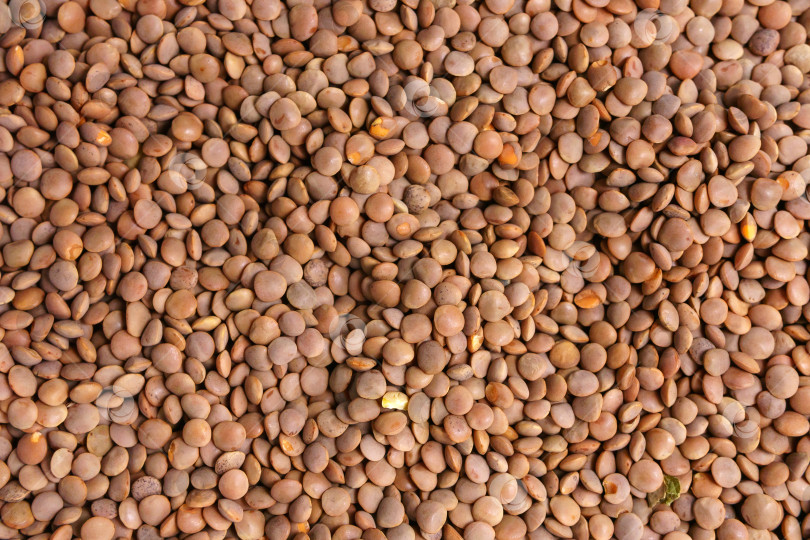 Скачать Органическая сухая коричневая чечевица для здорового питания. текстура фона фотосток Ozero