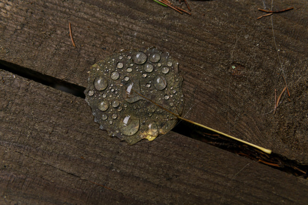 [object Object] undefined