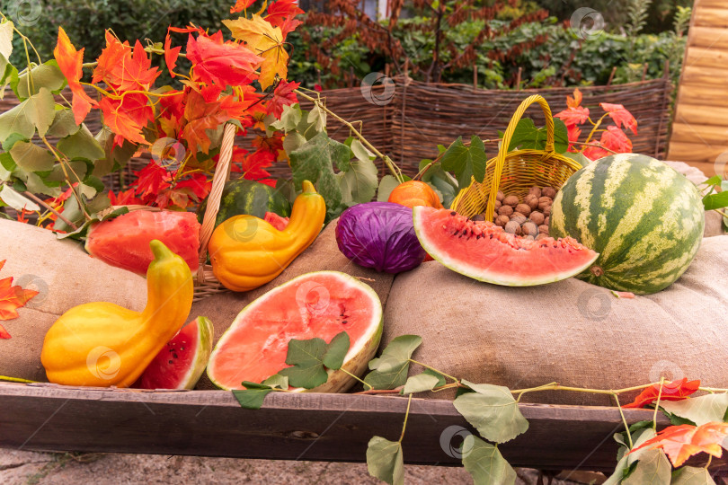 Скачать Различные фрукты, арбузы, тыквы и овощи на тележке во время осенних каникул. Избирательный фокус фотосток Ozero