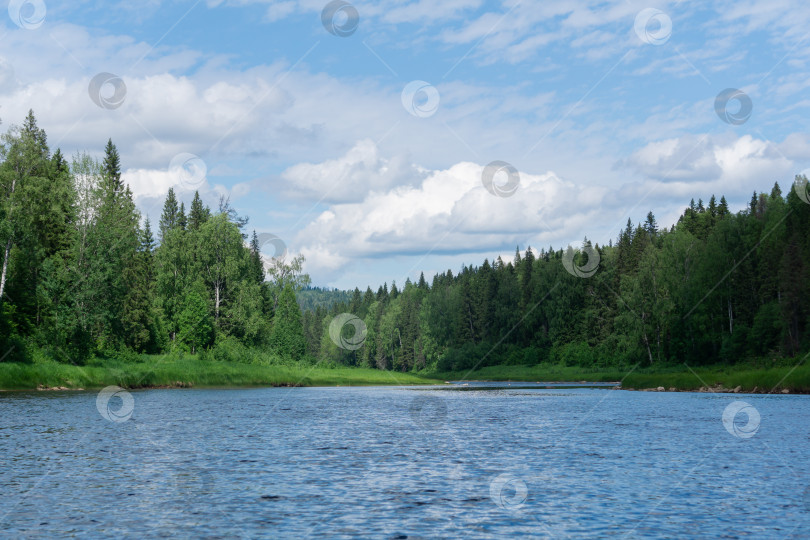 Скачать красивый пейзаж летняя река с лесистыми берегами фотосток Ozero