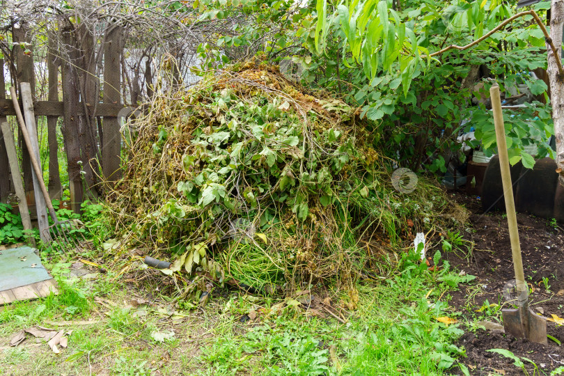 Скачать Большая куча сухих листьев и веток на открытом воздухе на заднем дворе на фоне зеленой травы. фотосток Ozero
