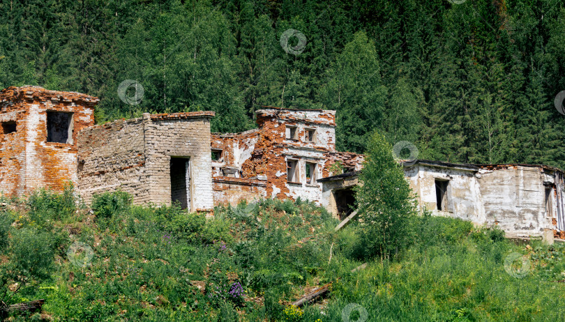 Скачать руины старого кирпичного промышленного здания среди леса в горах фотосток Ozero