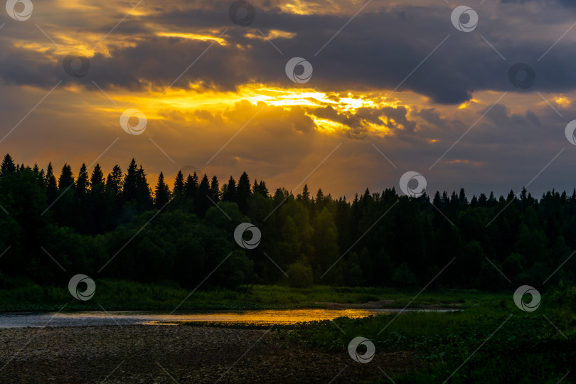 Скачать летний закат над северной рекой с лесистыми берегами фотосток Ozero