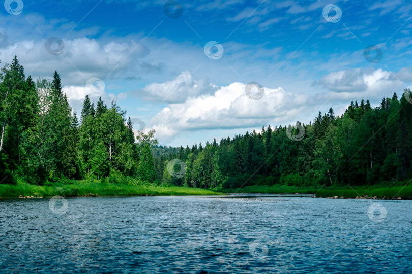 Скачать красивый пейзаж летняя река с лесистыми берегами фотосток Ozero