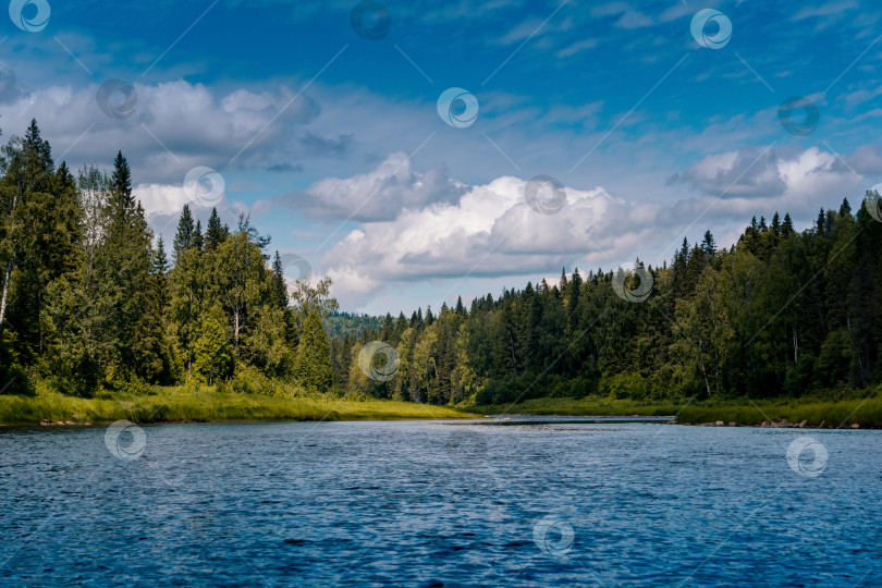 Скачать красивый пейзаж летняя река с лесистыми берегами фотосток Ozero