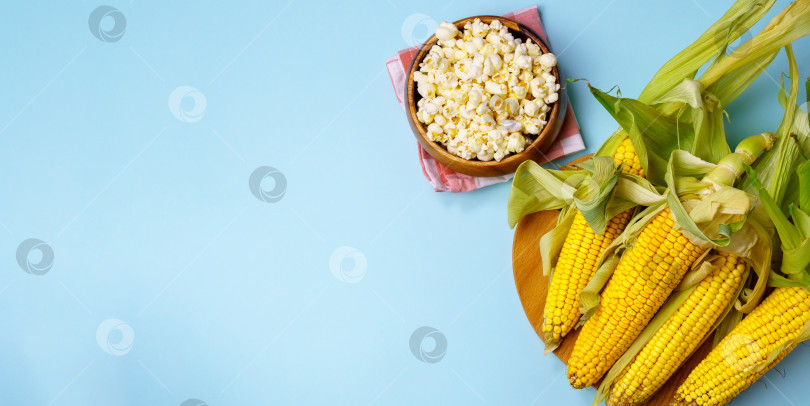 Скачать Кукуруза в початках, попкорн на синем фоне. Тема - агро, выращивание кукурузы, сбор урожая. Копировальное пространство фотосток Ozero