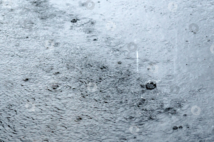 Скачать Капли дождя падают на воду в луже на улице. Избирательный фокус фотосток Ozero