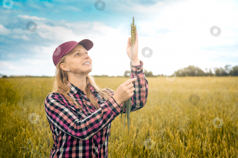 Скачать женщина-фермер с колосьями пшеницы в поле фотосток Ozero