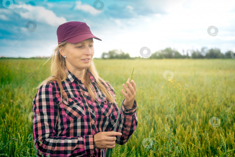 Скачать женщина-фермер рассматривает пучок колосьев у себя в руке фотосток Ozero