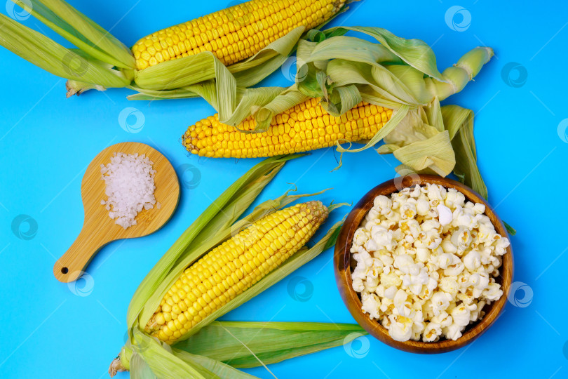 Скачать Кукуруза в початках, попкорн на синем фоне. Тема - агро, выращивание кукурузы, сбор урожая. фотосток Ozero