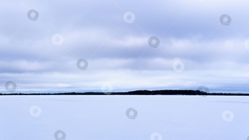 Скачать Зимняя природа и ландшафт. Замерзшее ледяное озеро. Лес на горизонте. фотосток Ozero