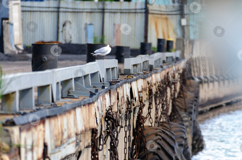 Скачать Причальная стенка в порту была увешана старыми покрышками фотосток Ozero