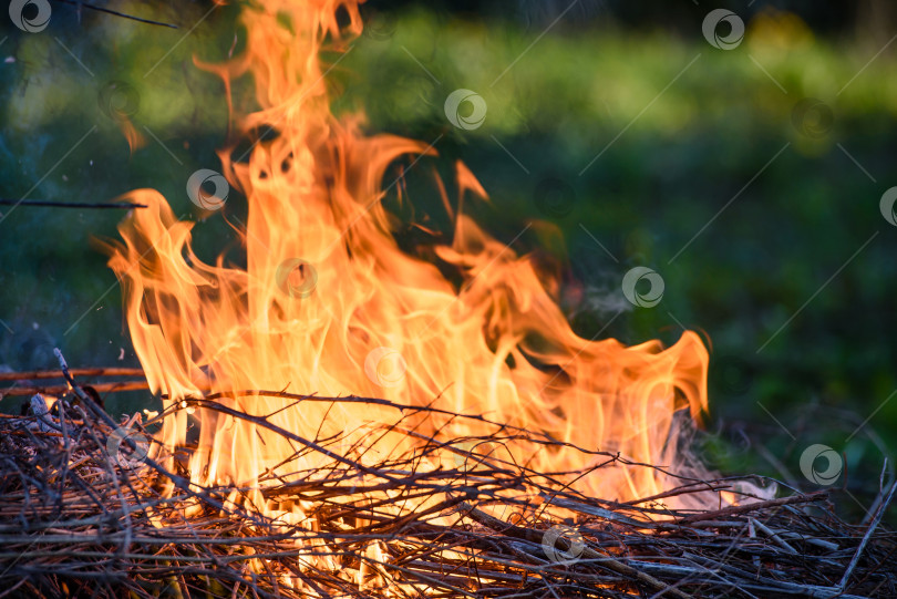 Скачать Крупный план костра - горящие сухие ветки фотосток Ozero
