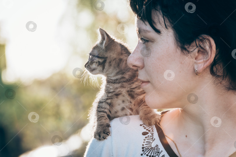 Скачать Маленький котенок сидит на плече у девочки на прогулке. фотосток Ozero