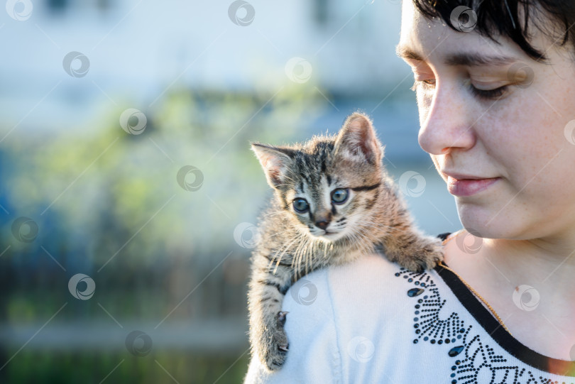 Скачать Маленький котенок сидит на плече у девочки на прогулке. фотосток Ozero