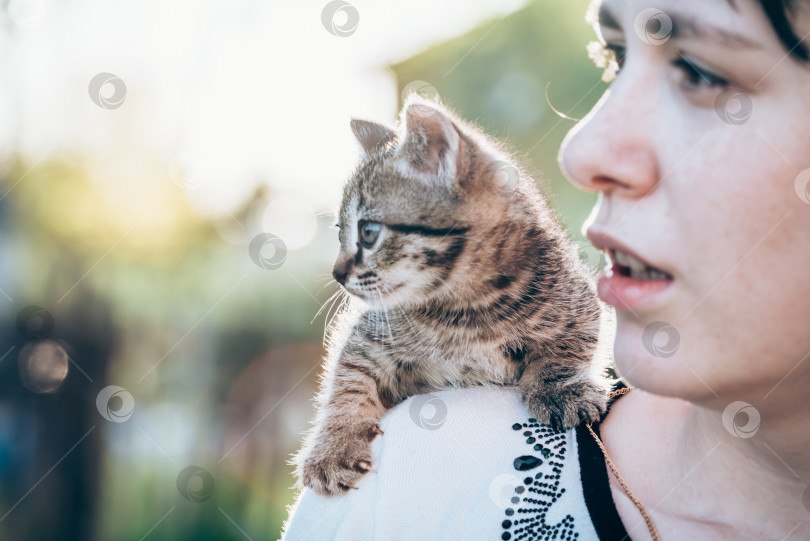 Скачать Маленький котенок сидит на плече у девочки на прогулке. фотосток Ozero