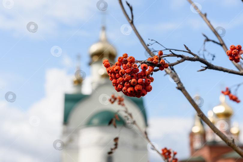 Скачать Россия, Тамбов, Мамонтова, 21 сентября 2019 года: женский монастырь Мамонтова пустынь. фотосток Ozero