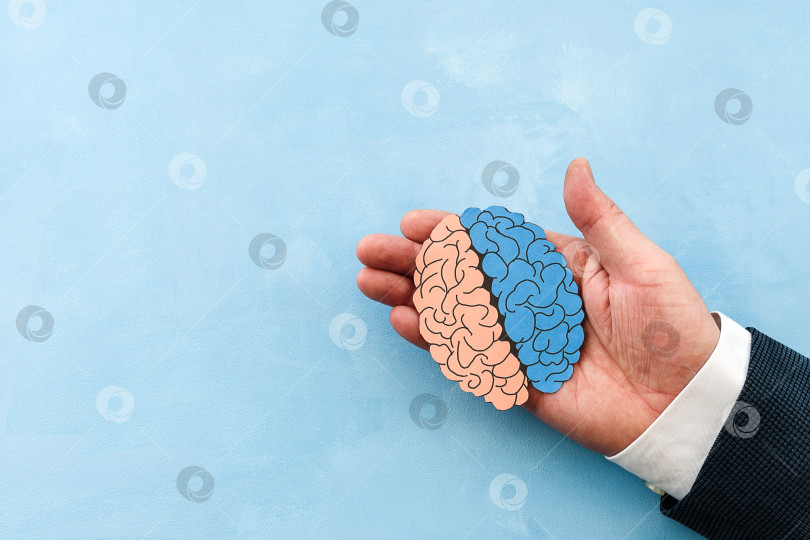 Скачать Мужские руки держат форму человеческого мозга, сделанную из бумаги на светло-голубом фоне. Два полушария окрашены в разные цвета. Концепция умственного развития, идеи, прорыв. фотосток Ozero