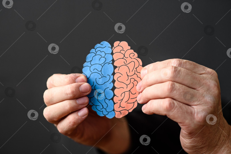 Скачать руки человека держат сделанный из бумаги мозг с двумя полушариями. Концепция гениальности, идей или психического здоровья. фотосток Ozero