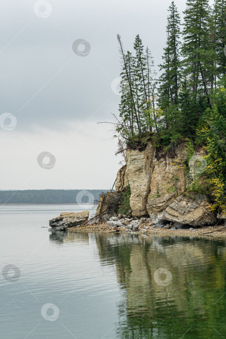 Скачать лесистый берег реки с мраморными утесами, водная эрозия прибрежных скал фотосток Ozero