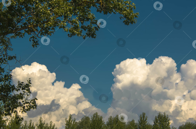 Скачать Красивое голубое небо с облаками, естественный фон фотосток Ozero