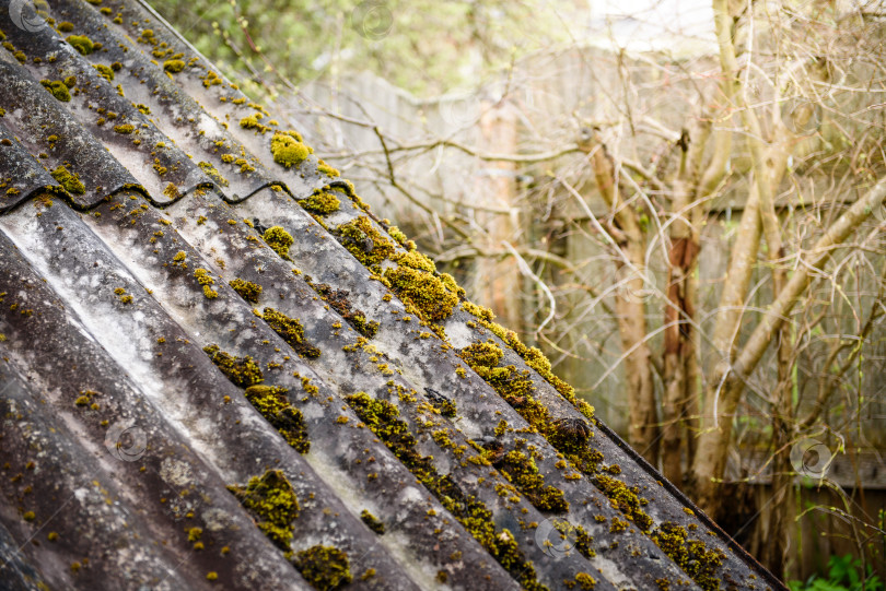 Скачать Мох на старой крыше - деревенский вид. фотосток Ozero