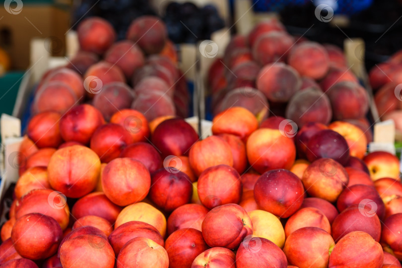 Скачать Персики на рынке в сезон сбора урожая фотосток Ozero
