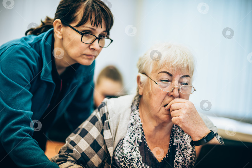Скачать Пожилая женщина и учитель сидят перед ноутбуком в классе. Обучение пенсионеров современным технологиям фотосток Ozero