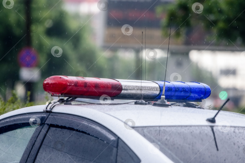 Скачать Россия, Санкт-Петербург, 26 августа 2020 года: крыша полицейской машины во время дождя. Плохая погода и вождение. фотосток Ozero