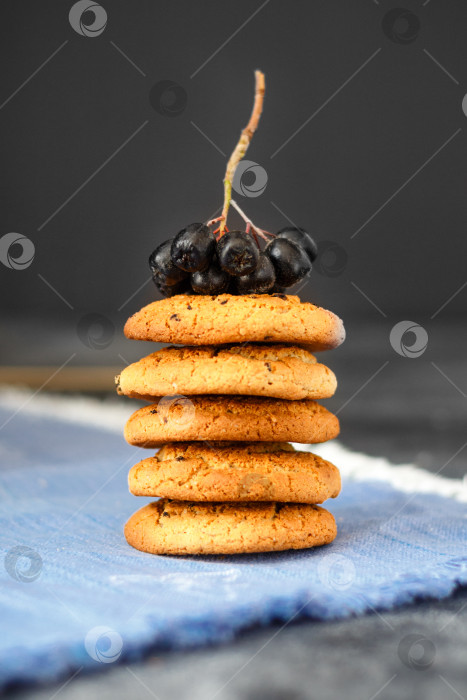 Скачать Домашнее овсяное печенье с изюмом на темном фоне фотосток Ozero