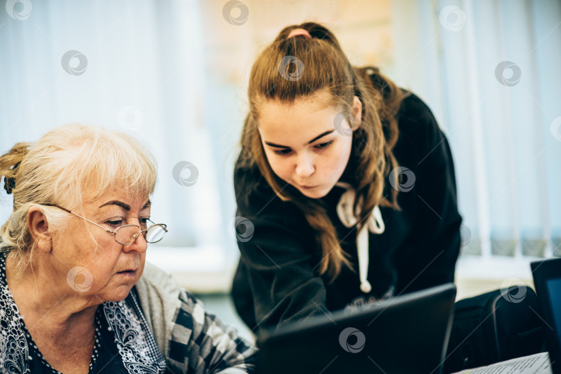 Скачать Молодая девушка помогает пожилой женщине в классе работать с ноутбуком фотосток Ozero