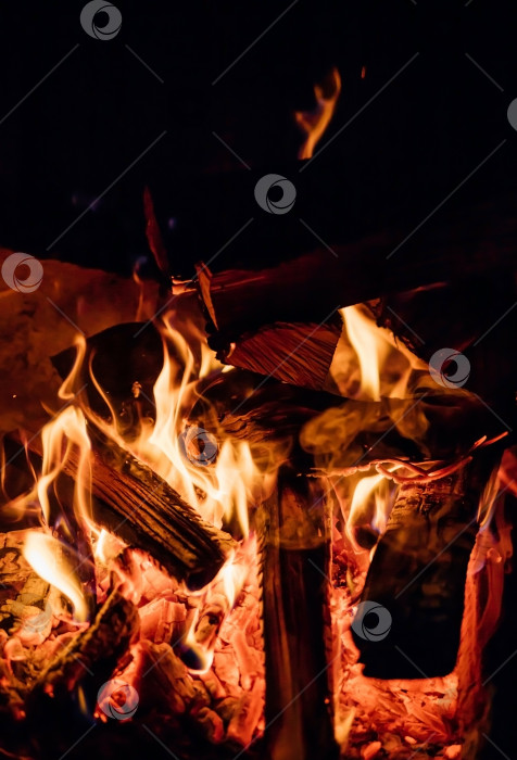 Скачать Языки пламени костра на черном фоне. Природное топливо и энергия.Пожар в естественном лесу, пламя и искры. фотосток Ozero
