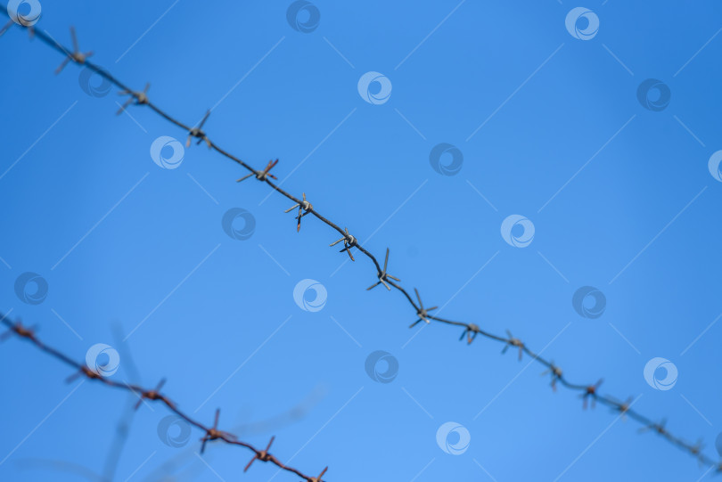 Скачать линии колючей проволоки на фоне голубого неба фотосток Ozero
