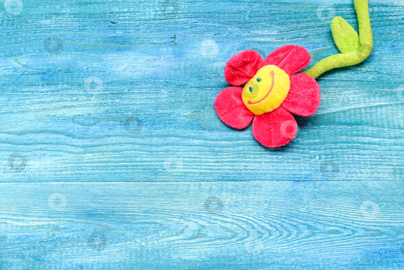 Скачать Мягкая цветочная игрушка на синем деревянном столе, вид сверху и место для копирования фотосток Ozero
