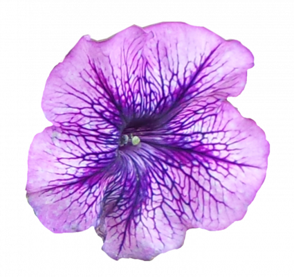 [object Object] undefined