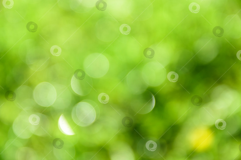 Скачать Ярко-зеленое боке, естественный фон фотосток Ozero