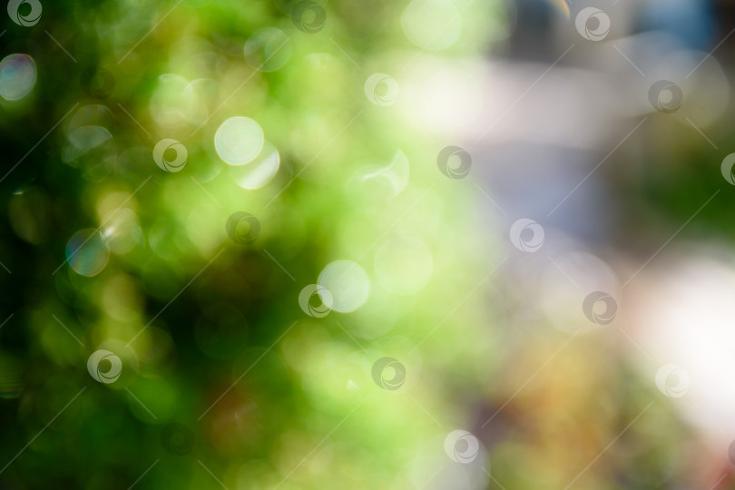 Скачать Ярко-зеленое боке, естественный фон фотосток Ozero