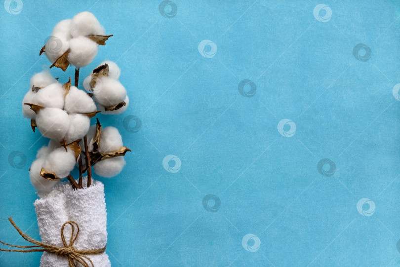 Скачать Хлопчатобумажный цветок на синем бумажном фоне и белое махровое полотенце. Экологически чистый продукт для тела фотосток Ozero