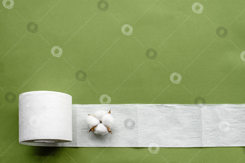 Скачать Гигиенический плоский фон сверху - туалетная бумага и веточка хлопка на зеленом фоне фотосток Ozero