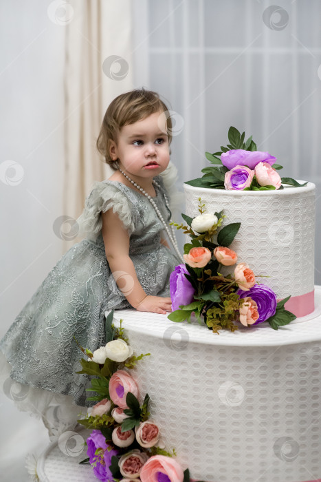 Скачать Маленькая девочка 2-х лет с огромным тортом. День рождения. фотосток Ozero